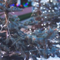 Luces Led de Navidad con 5% de Descuento en Qmadis