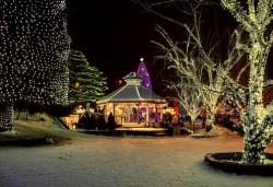 Iluminación con luces de navidad Led en árboles